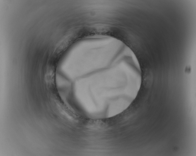 X0000110730866200907022108