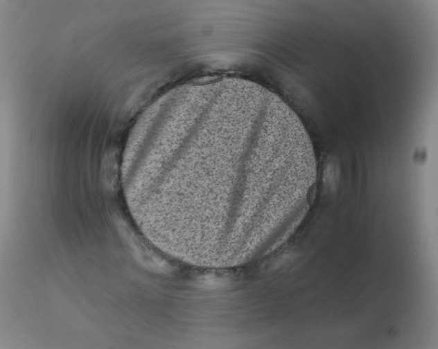 X0000110730868200907022108