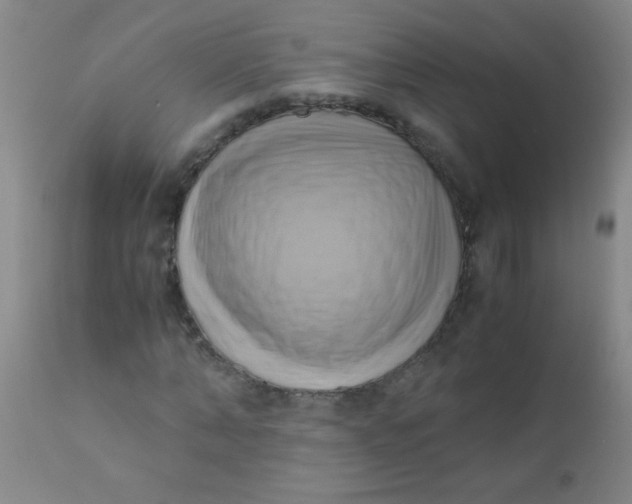 X0000110730870200907022108