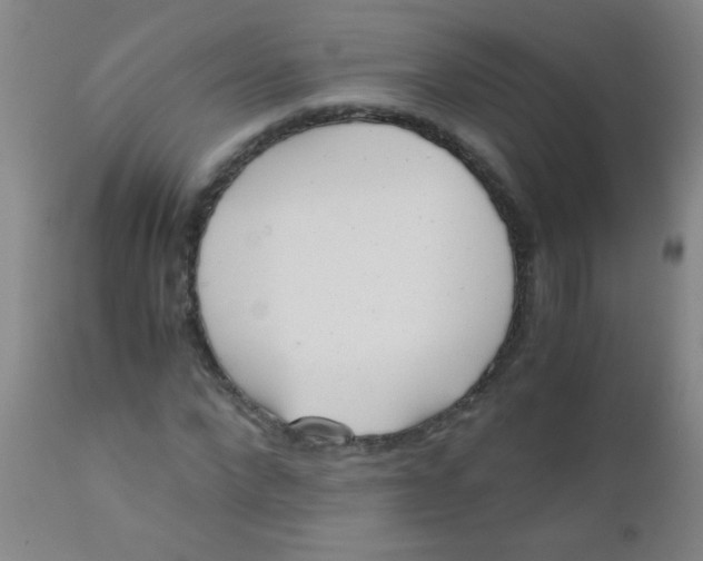 X0000110730872200907022108