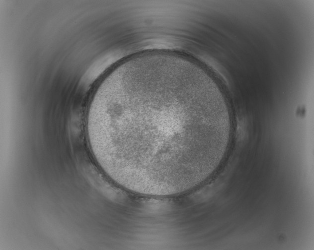 X0000110730874200907022108