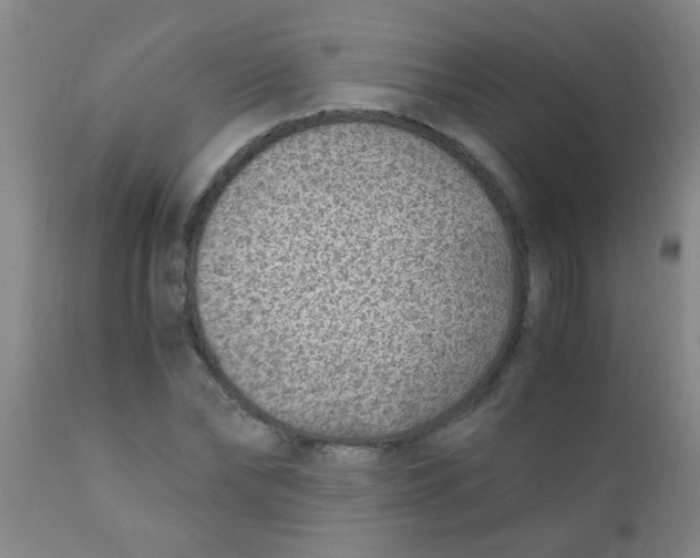 X0000110730878200907022108