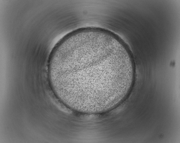 X0000110730879200907022108