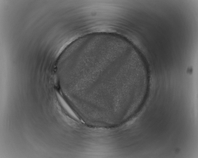 X0000110730881200907022108