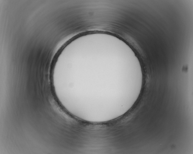 X0000110730884200907022108