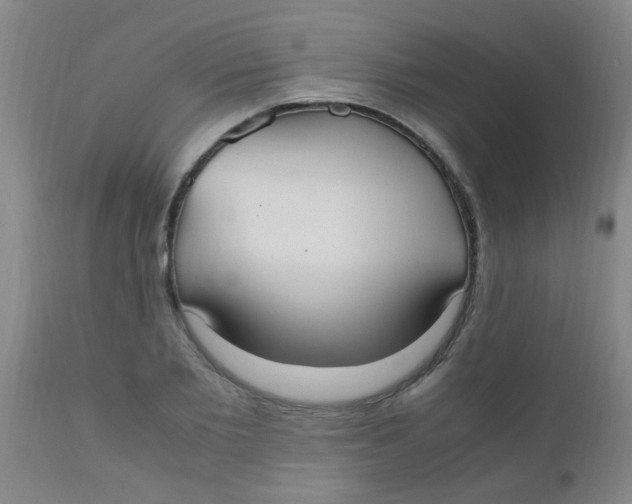 X0000110730885200907022108