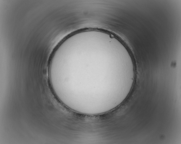 X0000110730887200907022108