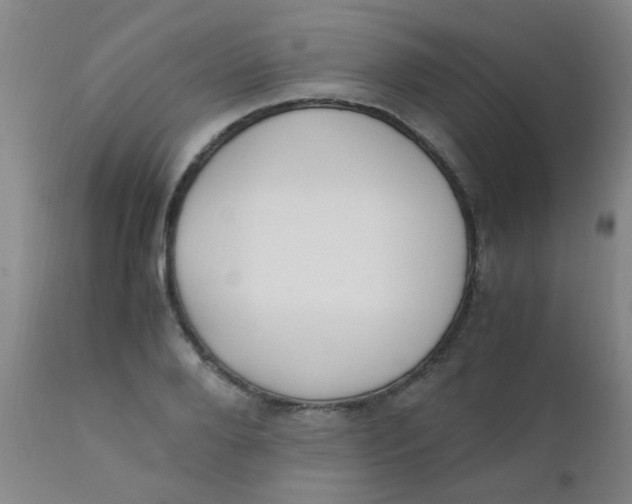 X0000110730888200907022108