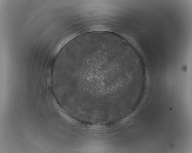 X0000110730889200907022107