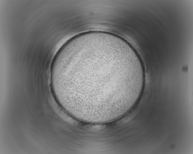 X0000110730891200907022107