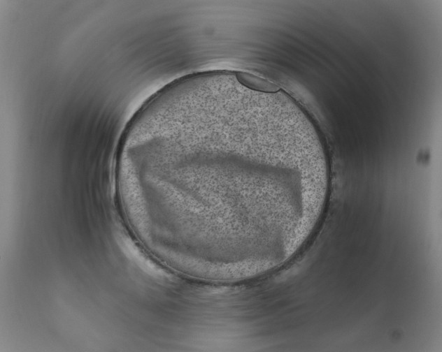 X0000110730892200907022107