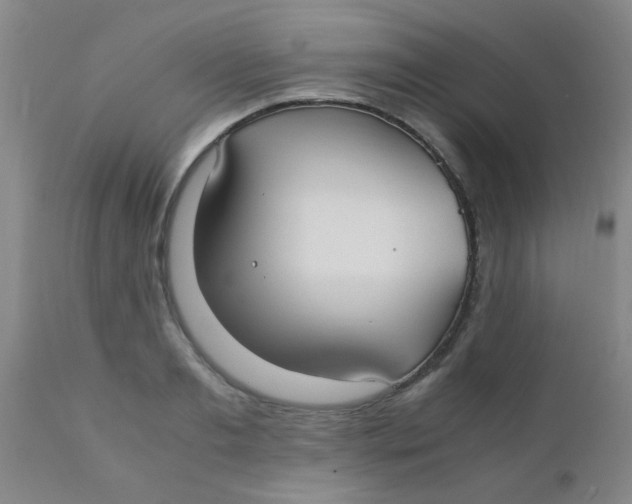 X0000110730893200907022107