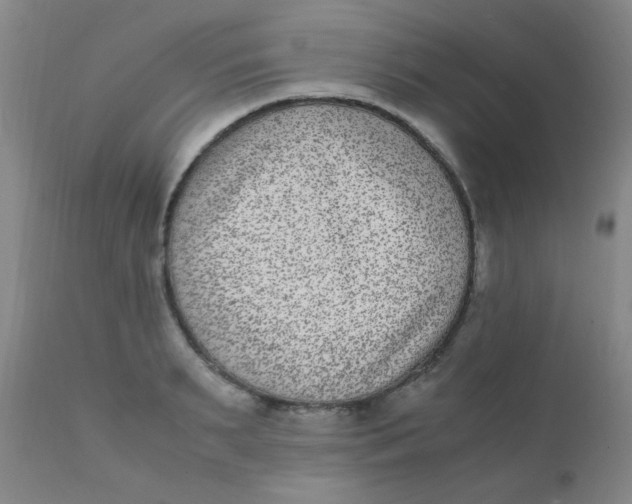 X0000110730895200907022107