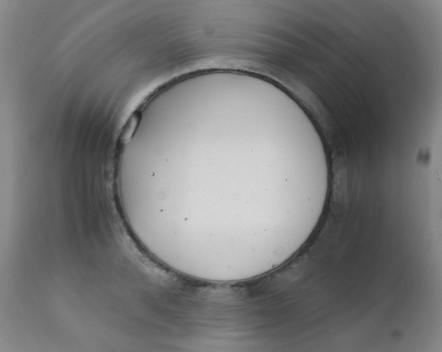 X0000110730896200907022107