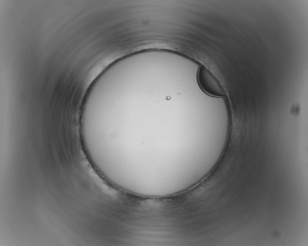 X0000110730898200907022107