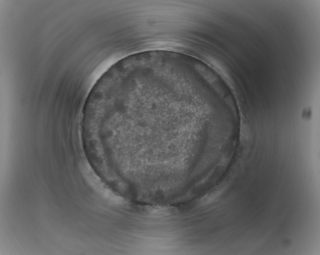 X0000110730899200907022107