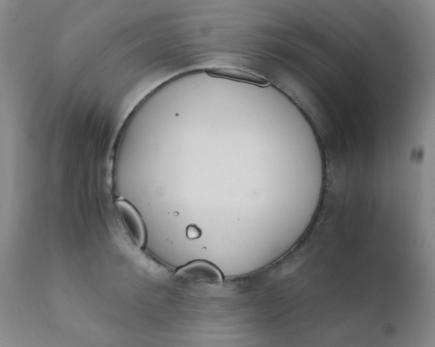 X0000110730900200907022107