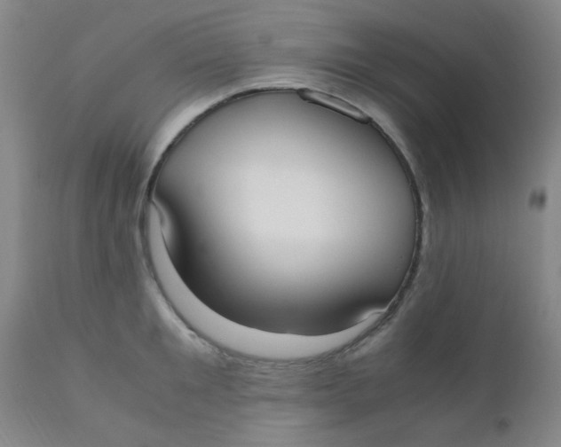 X0000110730901200907022107