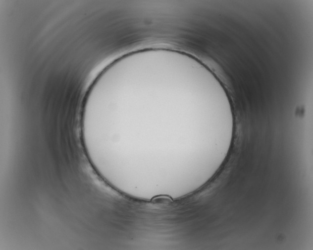 X0000110730904200907022107