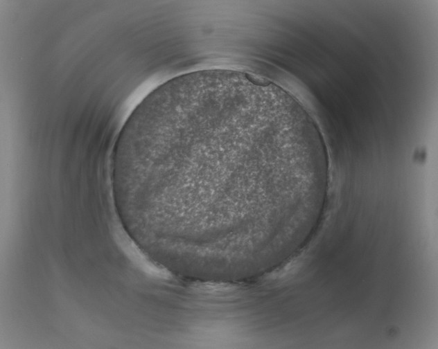 X0000110730907200907022107