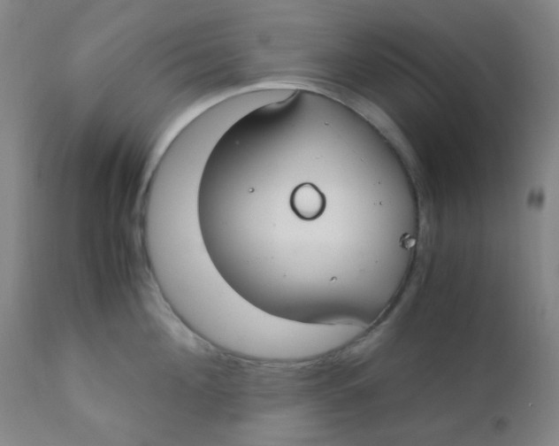 X0000110730908200907022107