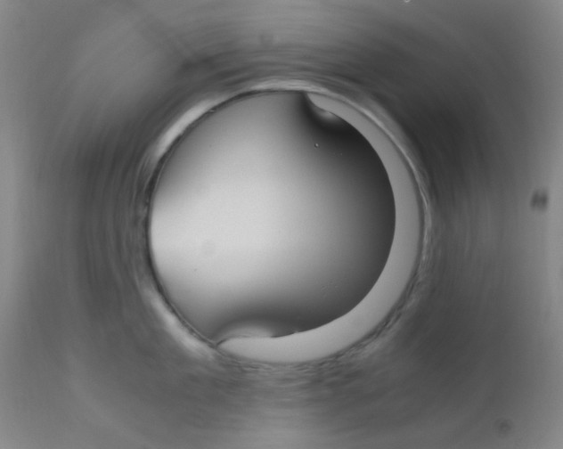 X0000110730909200907022107