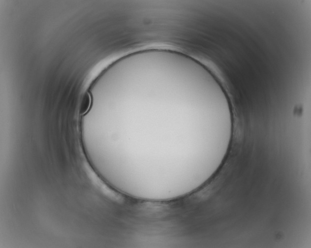 X0000110730910200907022107