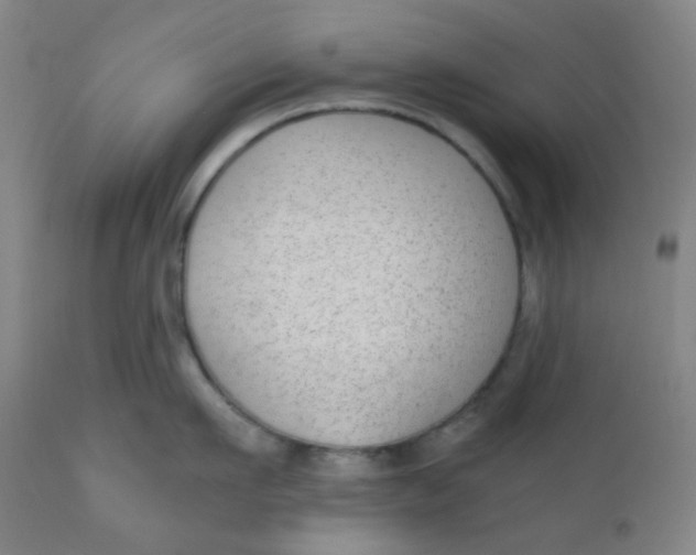 X0000110730911200907022107