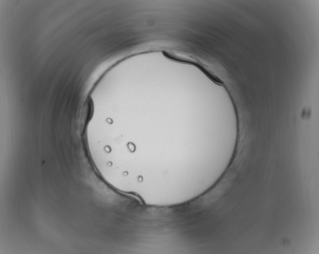 X0000110730912200907022107