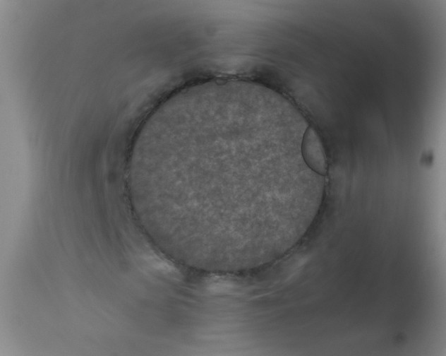 X0000110730913200907022106