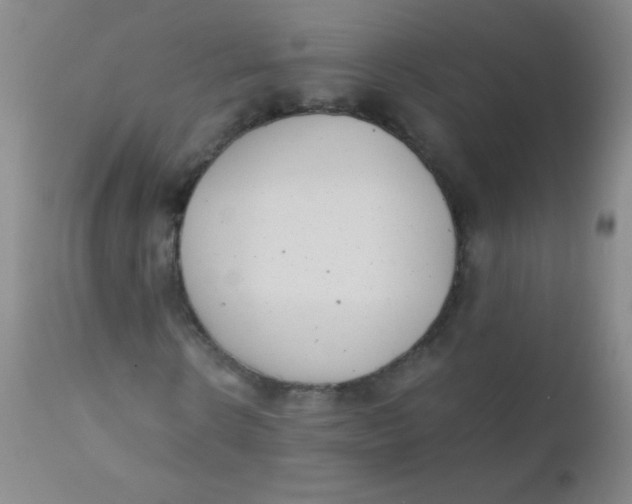 X0000110730914200907022106