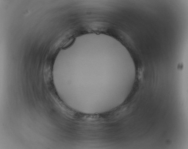 X0000110730915200907022106