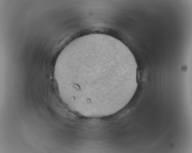 X0000110730916200907022106