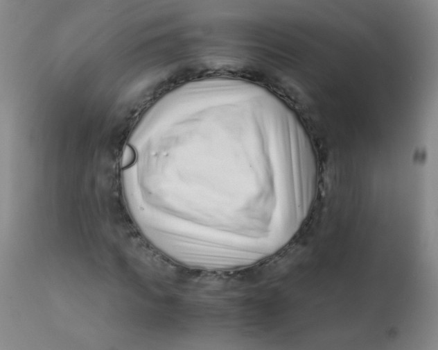 X0000110730917200907022106