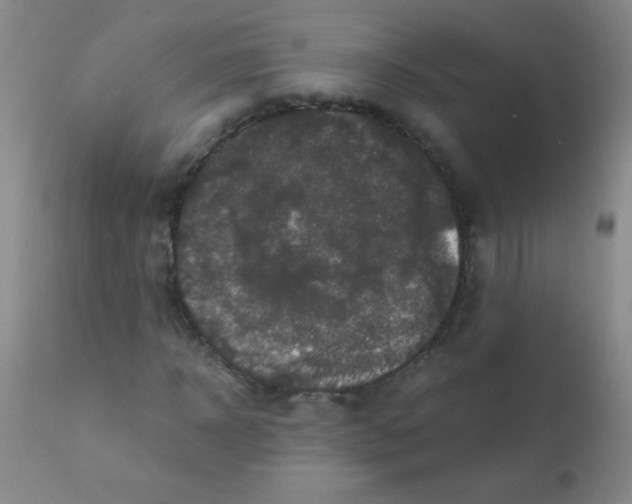 X0000110730918200907022106