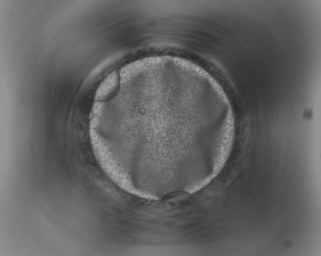 X0000110730919200907022106