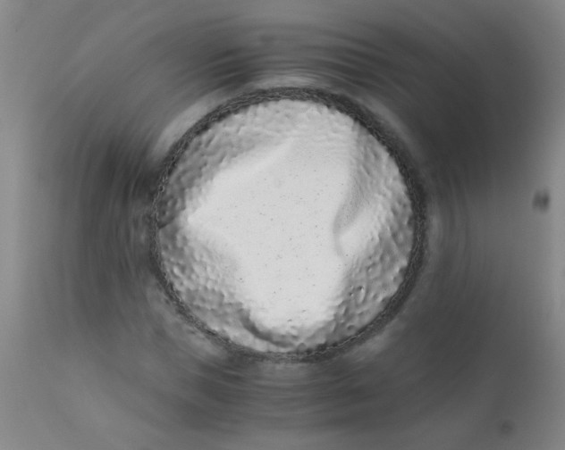 X0000110730921200907022106