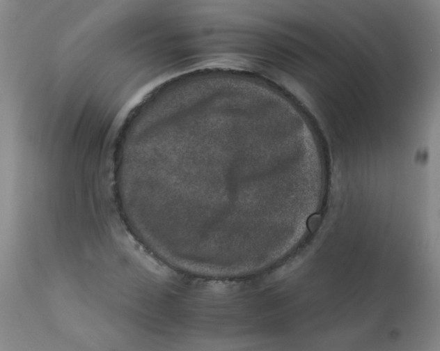 X0000110730923200907022106