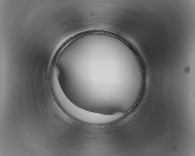 X0000110730924200907022107