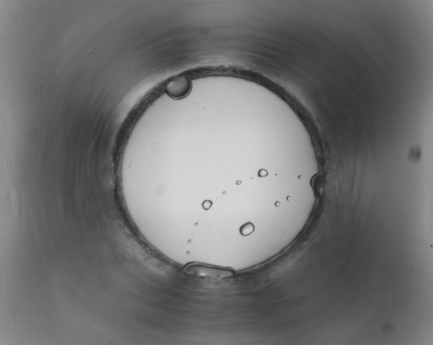 X0000110730927200907022107