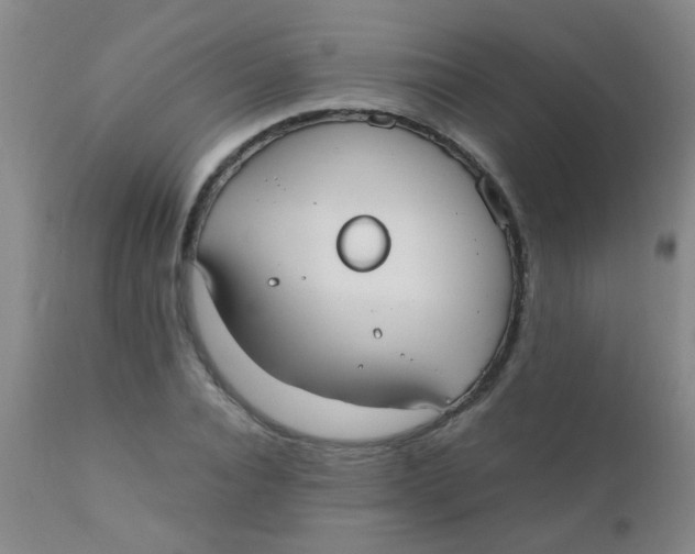 X0000110730928200907022107