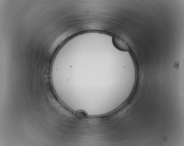 X0000110730930200907022107