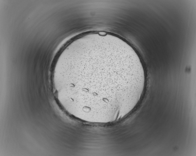 X0000110730932200907022107