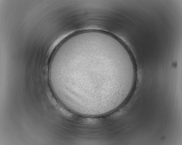 X0000110730933200907022107