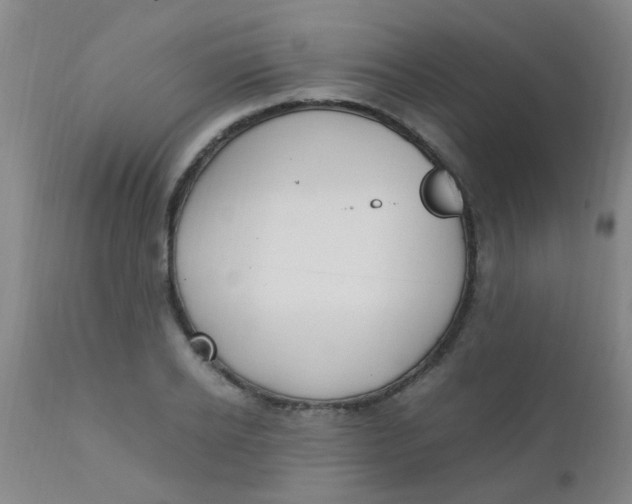 X0000110730934200907022107