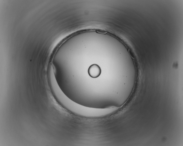 X0000110730936200907022107