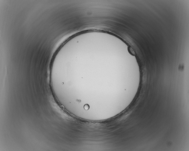 X0000110730940200907022107