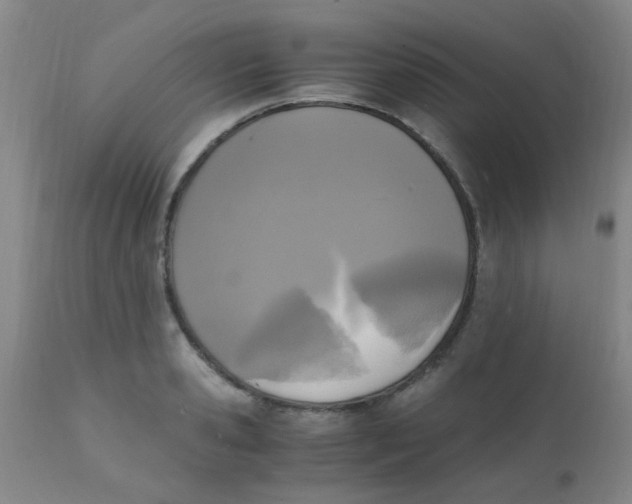 X0000110730941200907022107