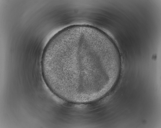 X0000110730943200907022107