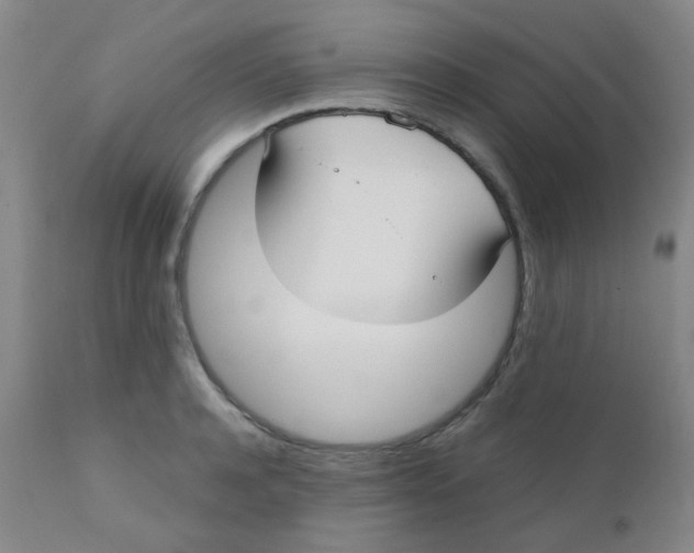 X0000110730944200907022107